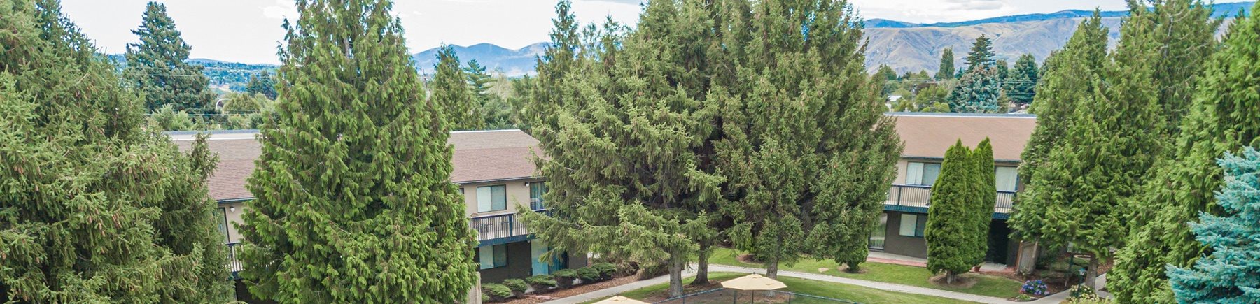 An aerial view of apartments with trees in the foreground and mountains in the background.at Cedarwood, Washington